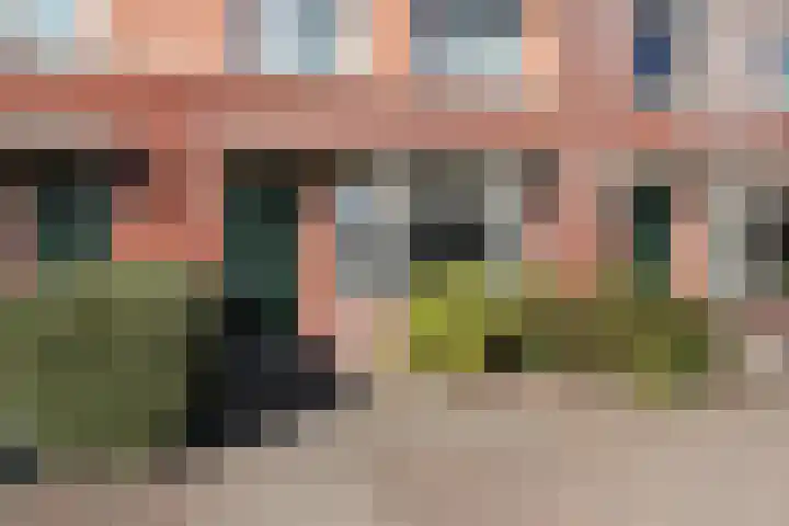 Hanerak 9 Harlingen thumbnail 4