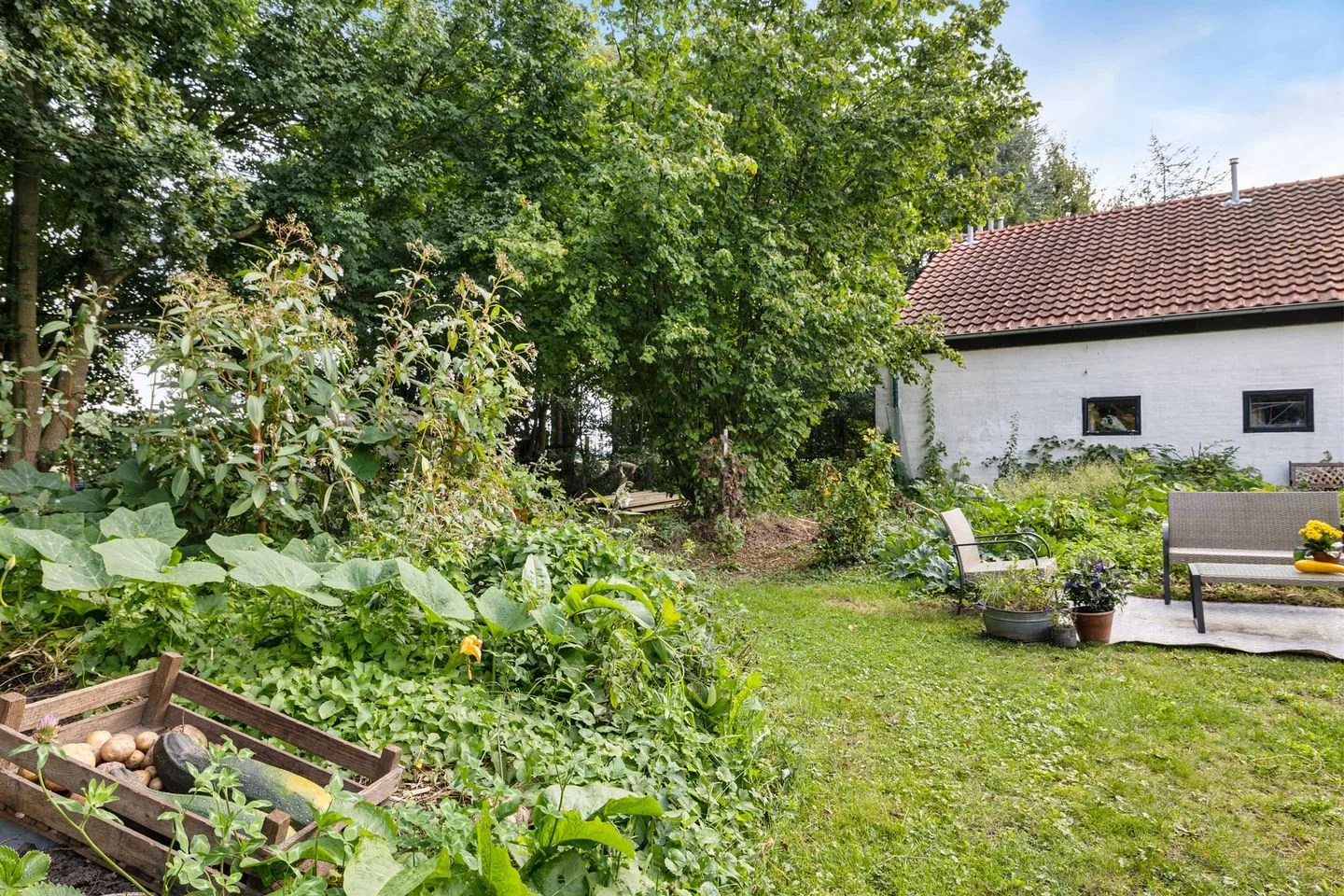 Hanetangerweg 6 Ter Apel thumbnail 30