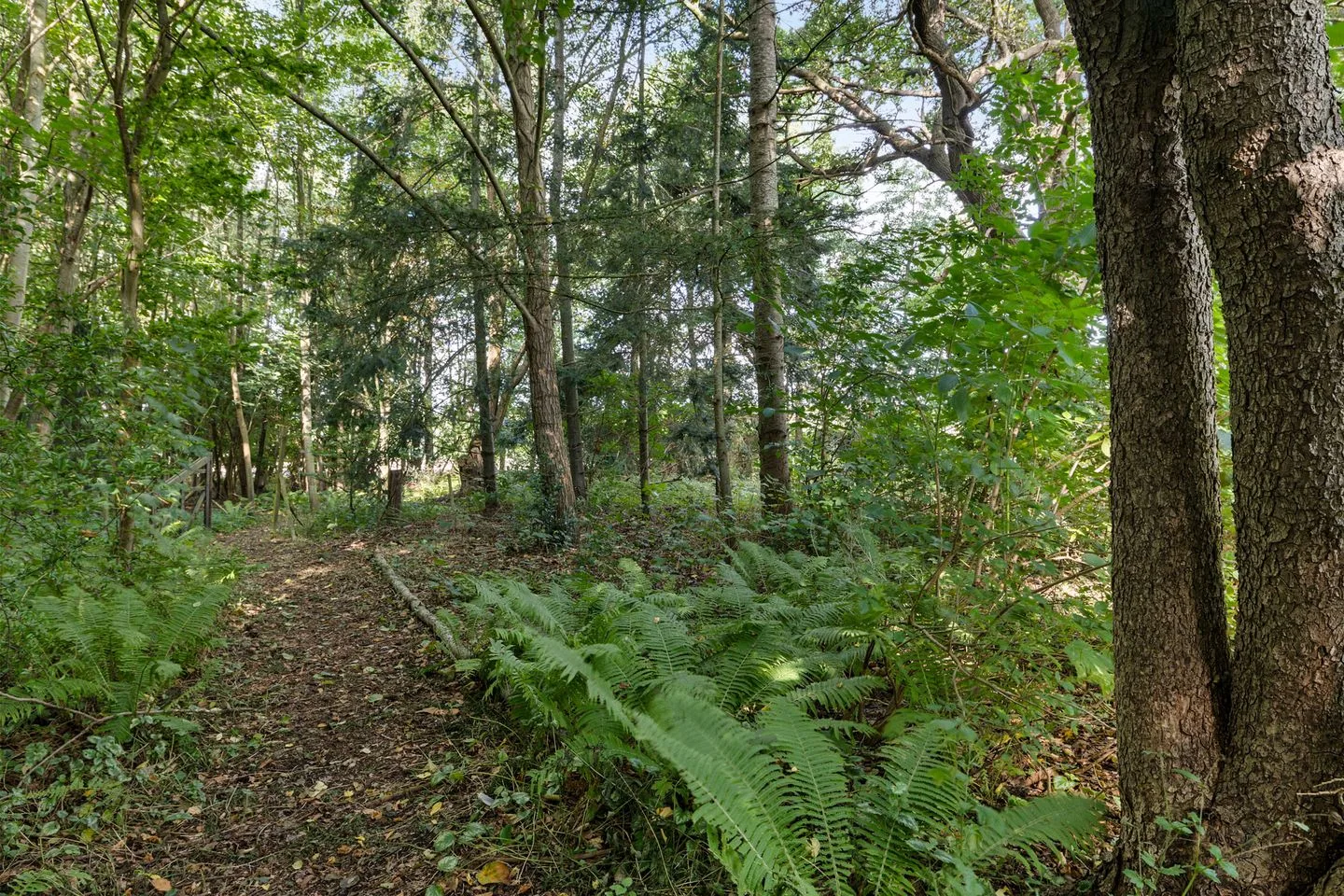 Hanetangerweg 6 Ter Apel thumbnail 34