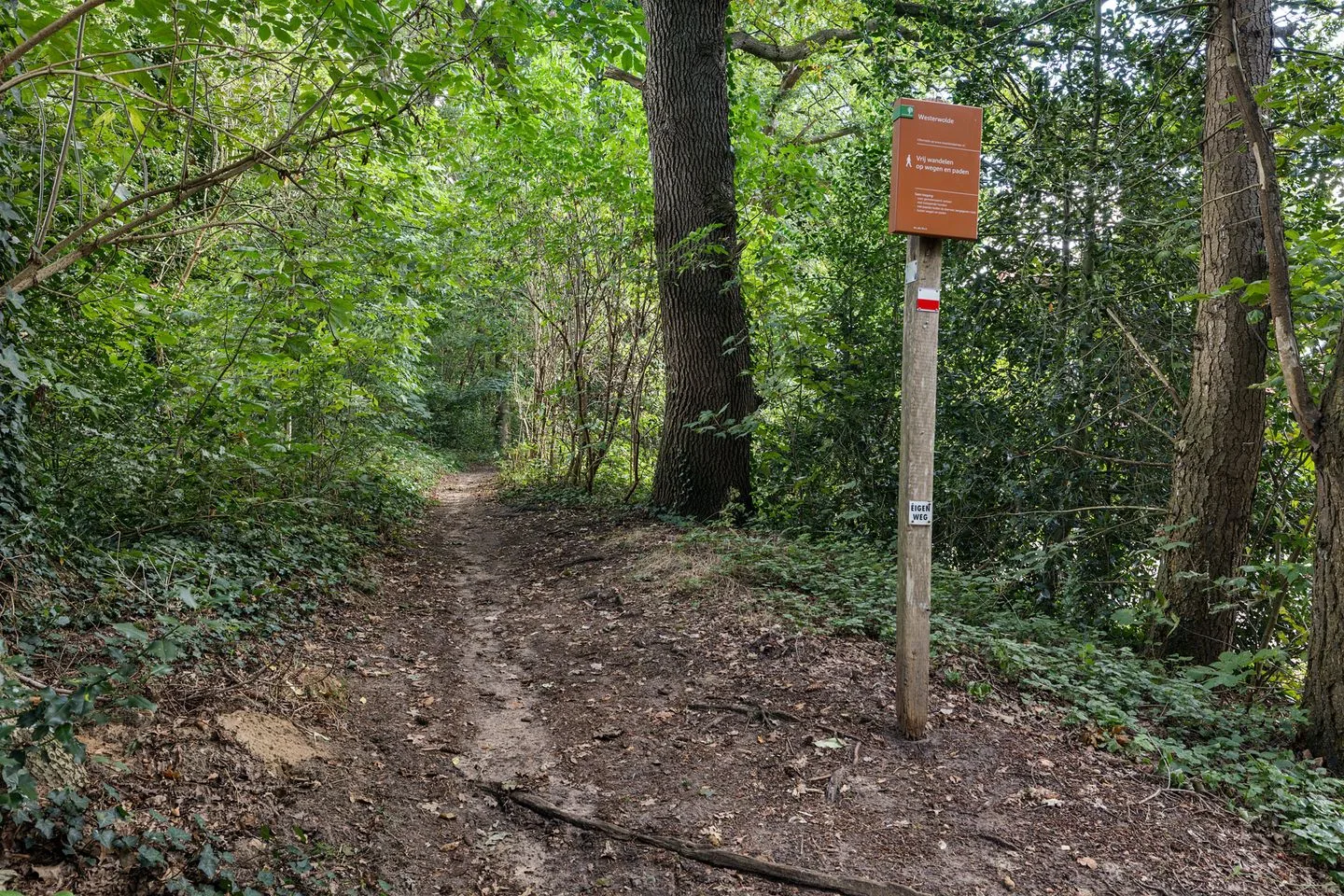Hanetangerweg 6 Ter Apel thumbnail 46