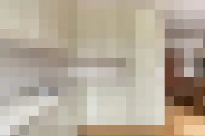 Haneven 36 Goirle thumbnail 13