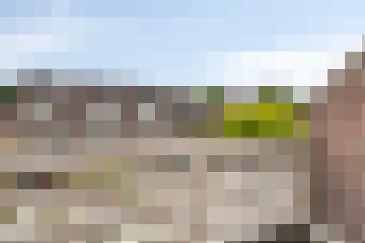 Haneven 36 Goirle thumbnail 19