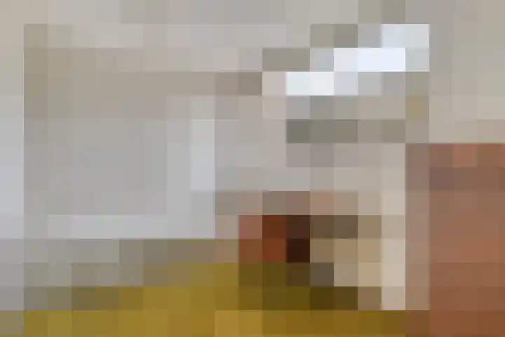 Haneven 36 Goirle thumbnail 21