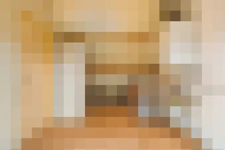 Haneven 36 Goirle thumbnail 24