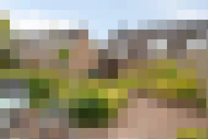 Haneven 36 Goirle thumbnail 29