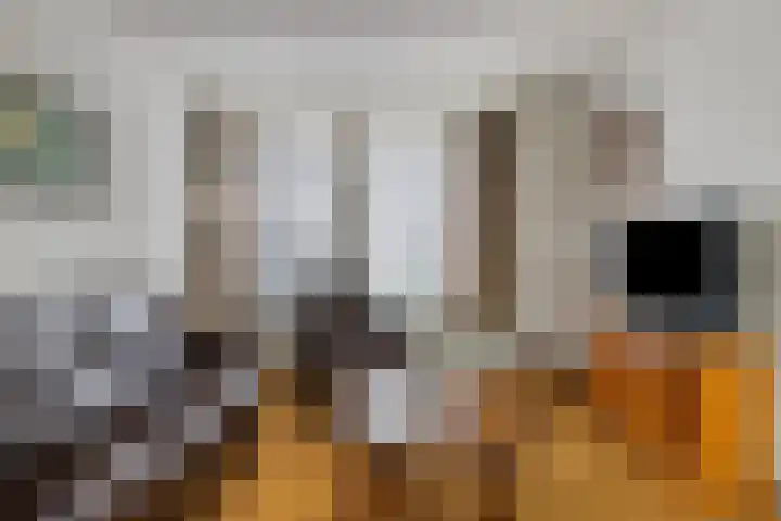 Haneven 36 Goirle thumbnail 7