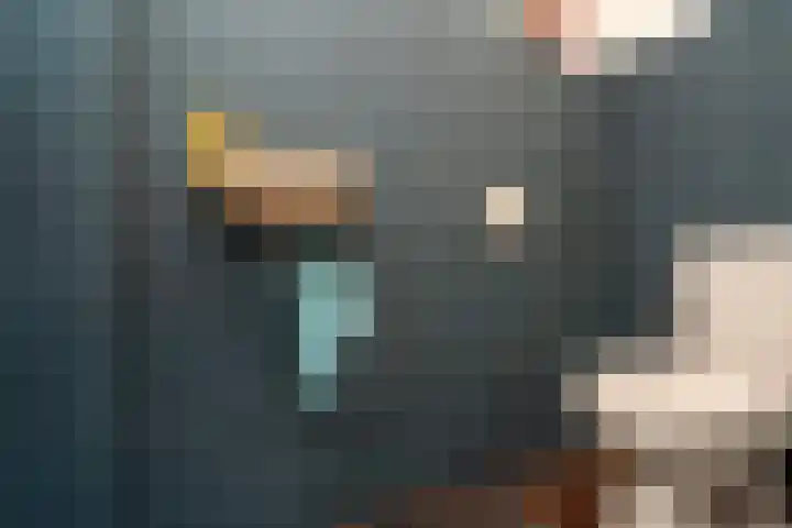 Haneven 39 Goirle thumbnail 12