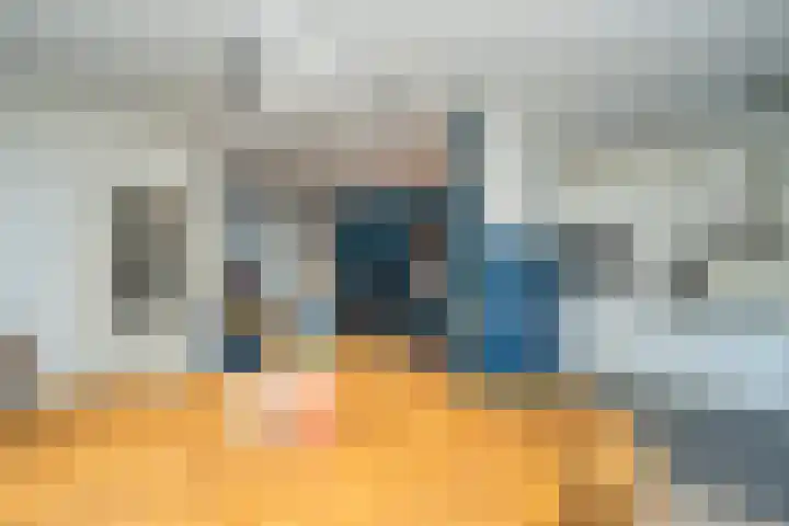 Haneven 39 Goirle thumbnail 20