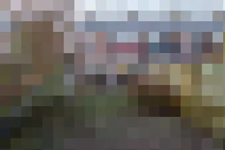 Haneven 39 Goirle thumbnail 28
