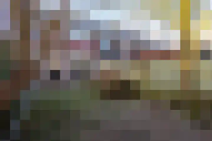 Haneven 39 Goirle thumbnail 29