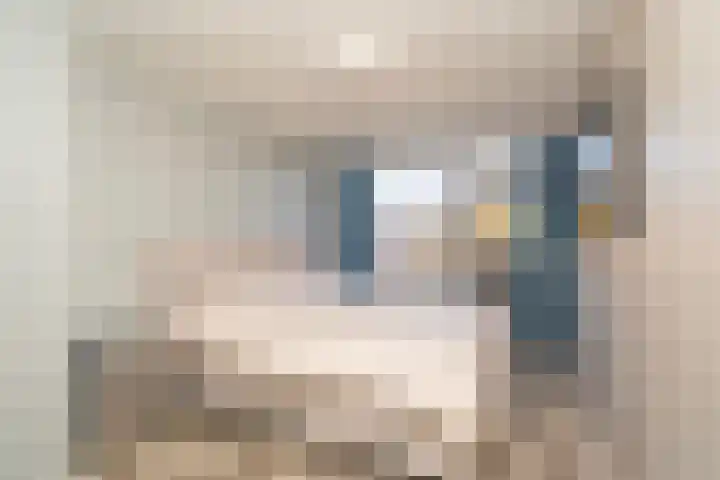 Haneven 39 Goirle thumbnail 33