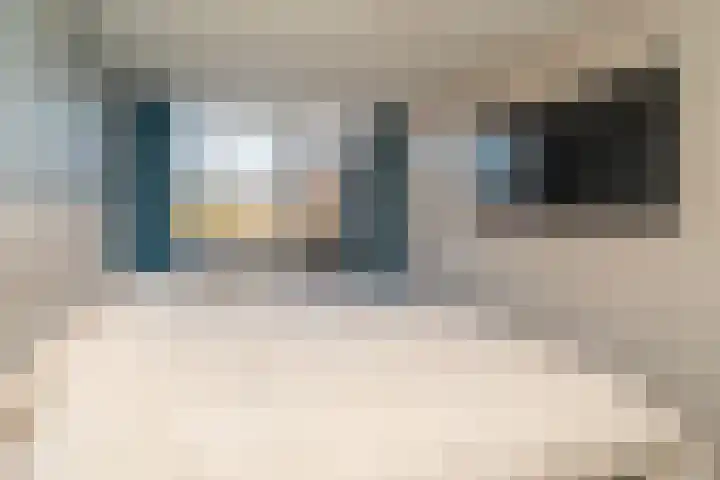 Haneven 39 Goirle thumbnail 34