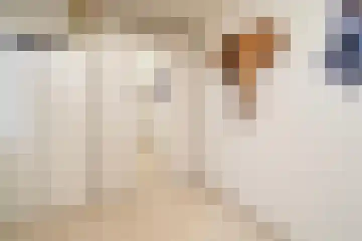 Haneven 39 Goirle thumbnail 39