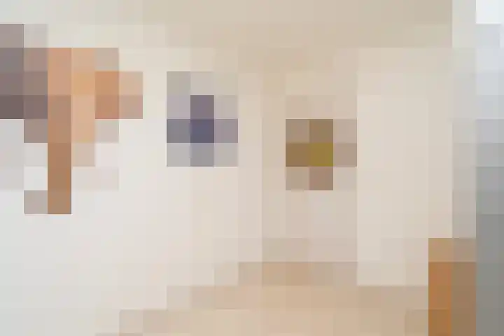 Haneven 39 Goirle thumbnail 40