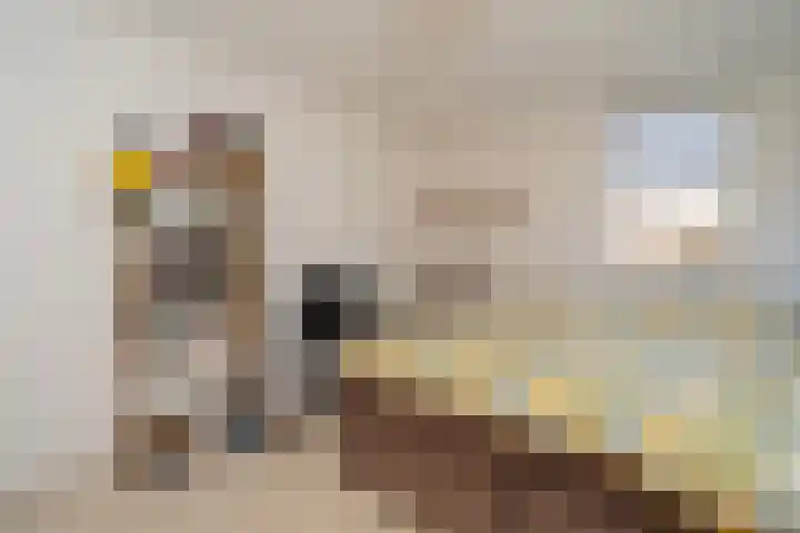 Haneven 39 Goirle thumbnail 42