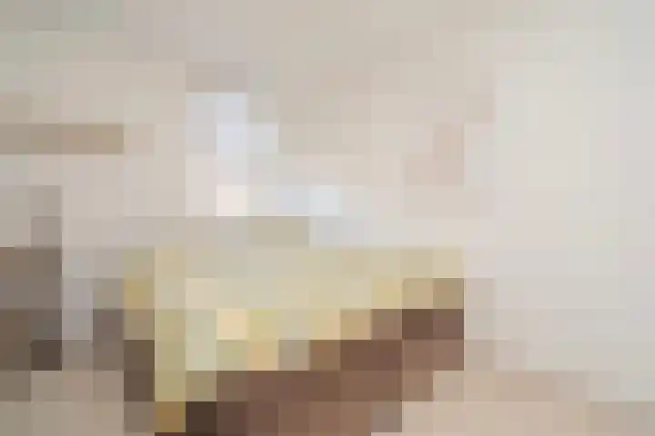 Haneven 39 Goirle thumbnail 43