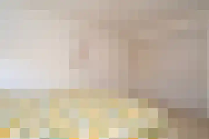 Haneven 39 Goirle thumbnail 44