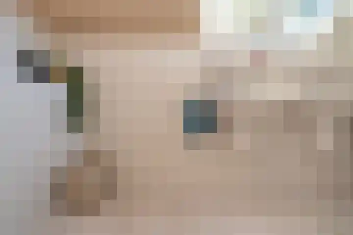 Haneven 39 Goirle thumbnail 45