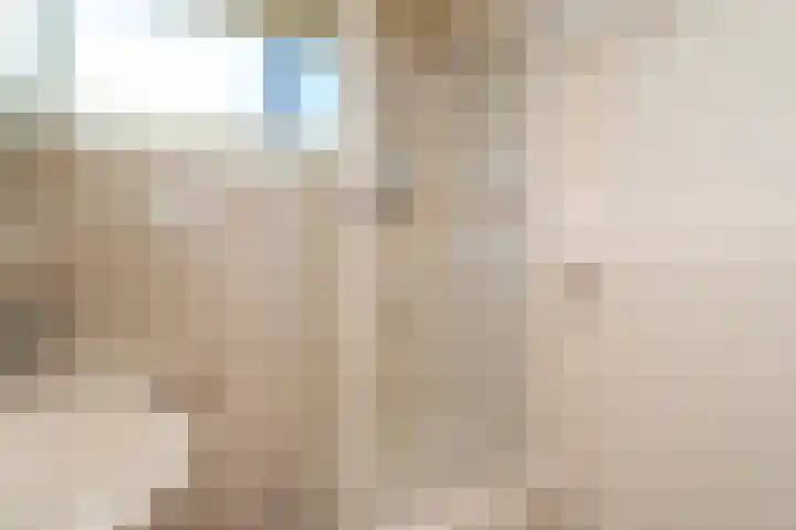 Haneven 39 Goirle thumbnail 47