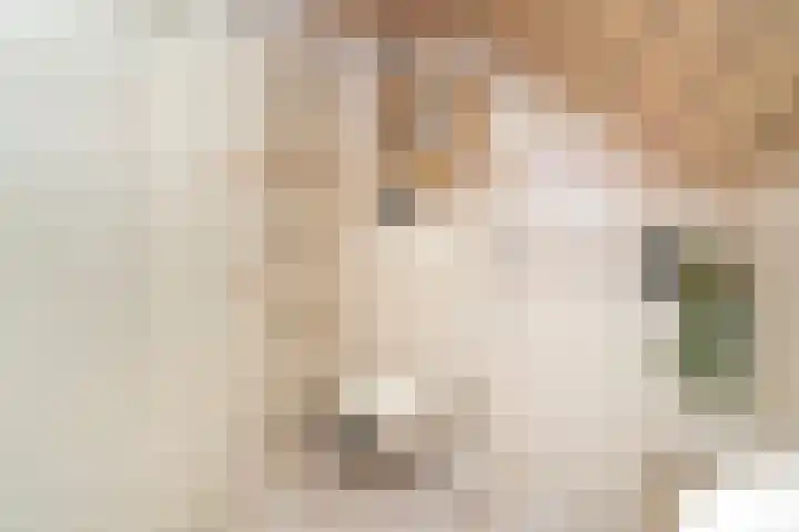 Haneven 39 Goirle thumbnail 48