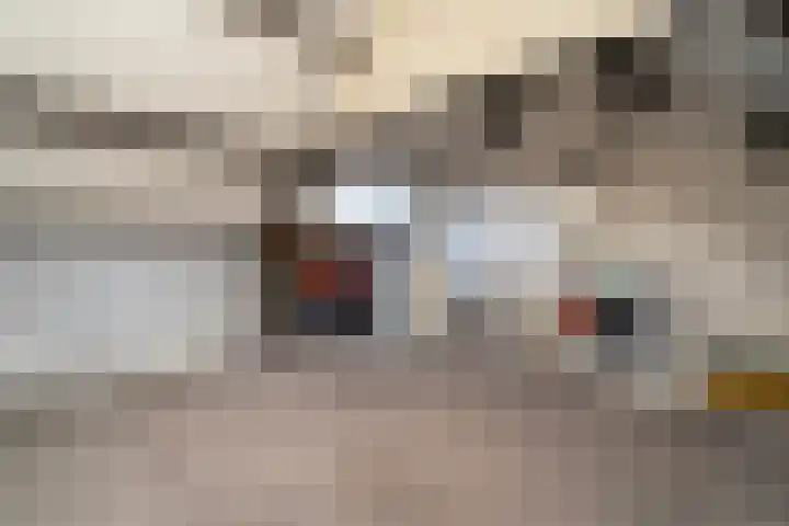 Haneven 39 Goirle thumbnail 50