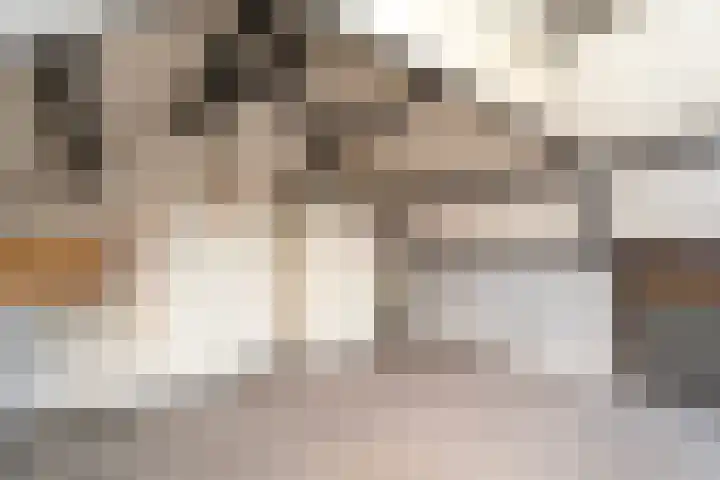 Haneven 39 Goirle thumbnail 53