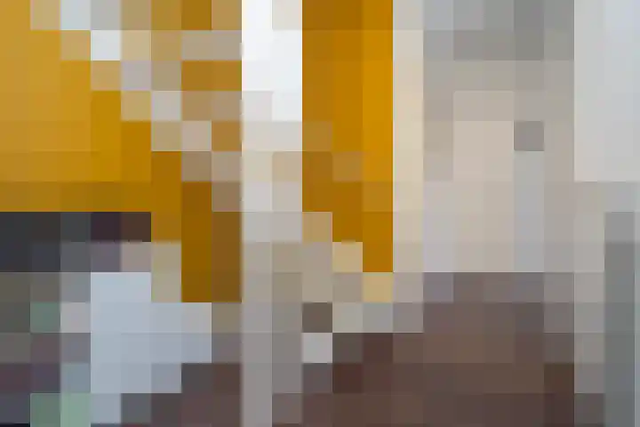 Haneven 39 Goirle thumbnail 8