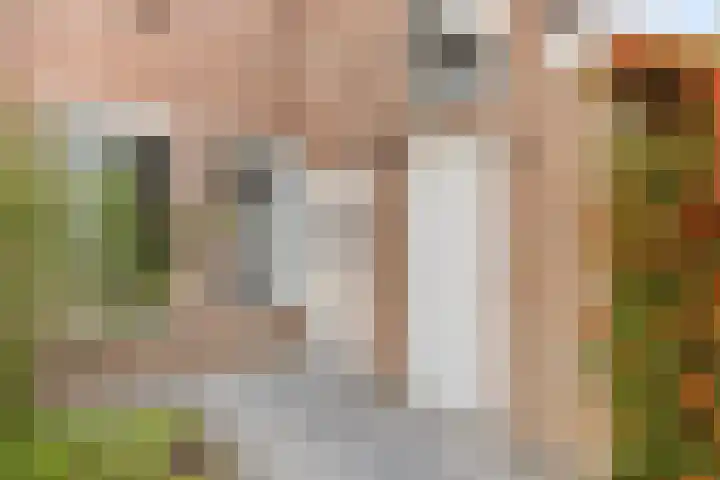 Haneven 49 Goirle thumbnail 10