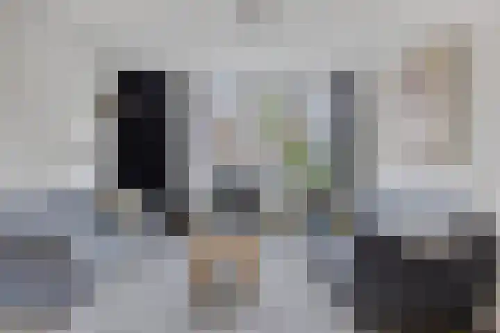 Haneven 49 Goirle thumbnail 13