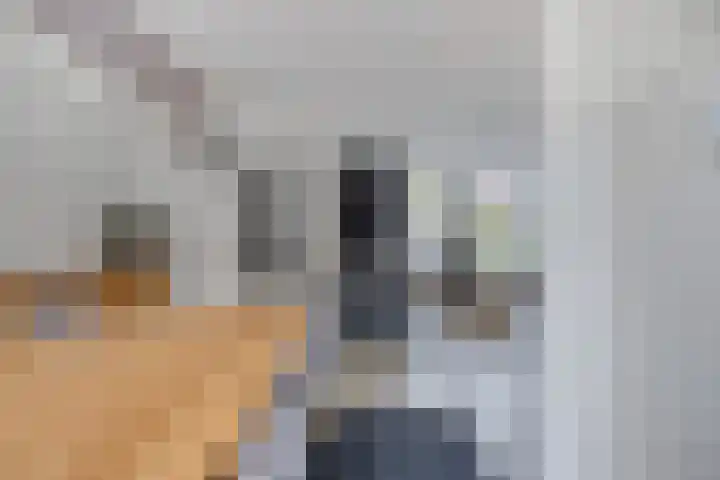 Haneven 49 Goirle thumbnail 17