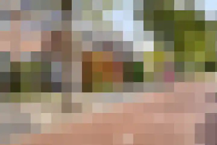 Haneven 49 Goirle foto 2