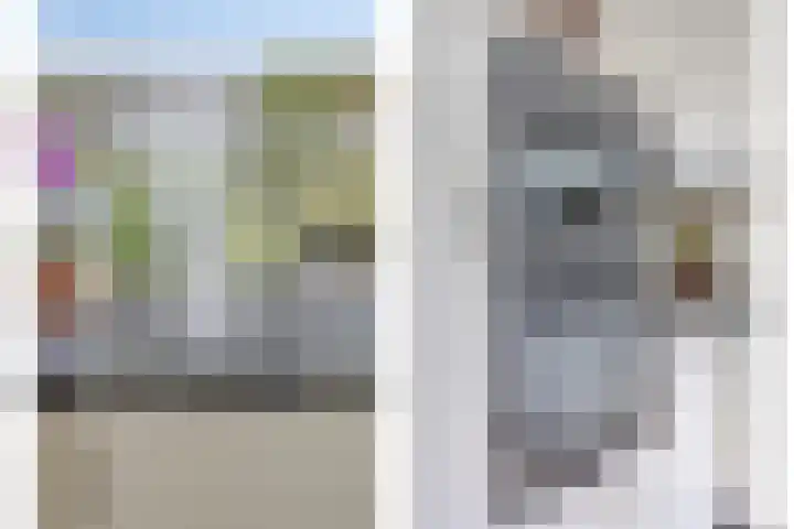Haneven 49 Goirle thumbnail 21