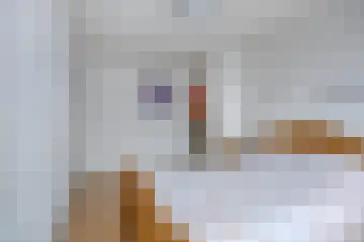 Haneven 49 Goirle thumbnail 25