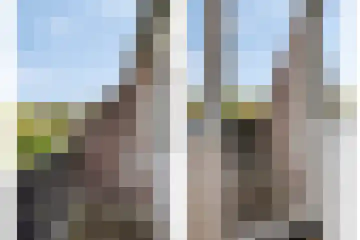 Haneven 49 Goirle thumbnail 26