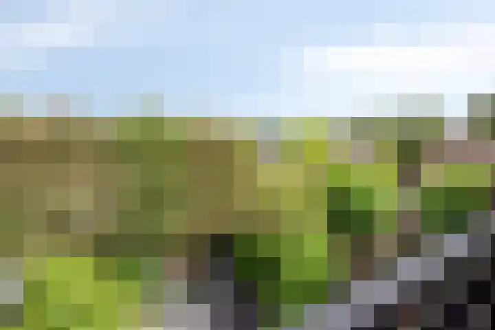 Haneven 49 Goirle thumbnail 27