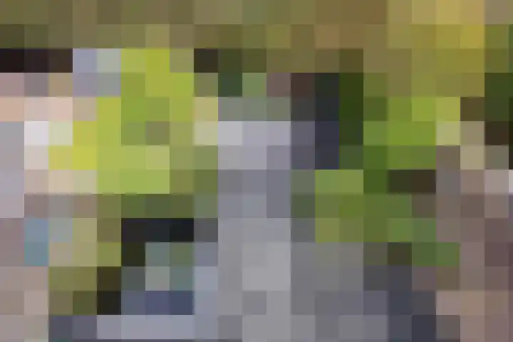 Haneven 49 Goirle thumbnail 28