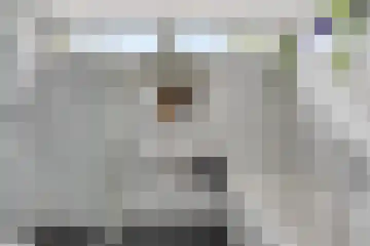 Haneven 49 Goirle thumbnail 29