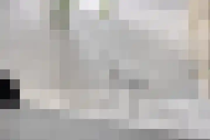 Haneven 49 Goirle thumbnail 31
