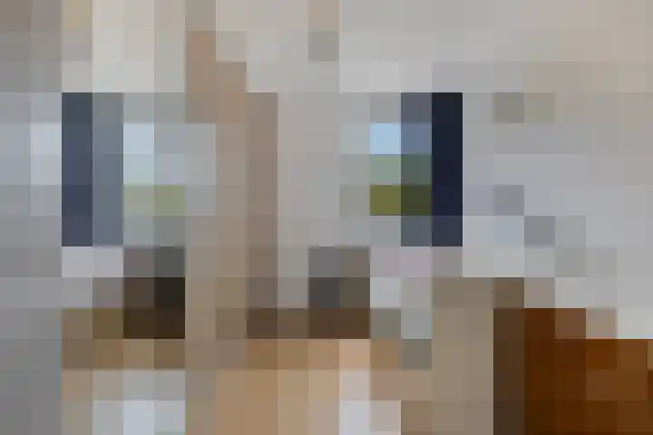 Haneven 49 Goirle thumbnail 32