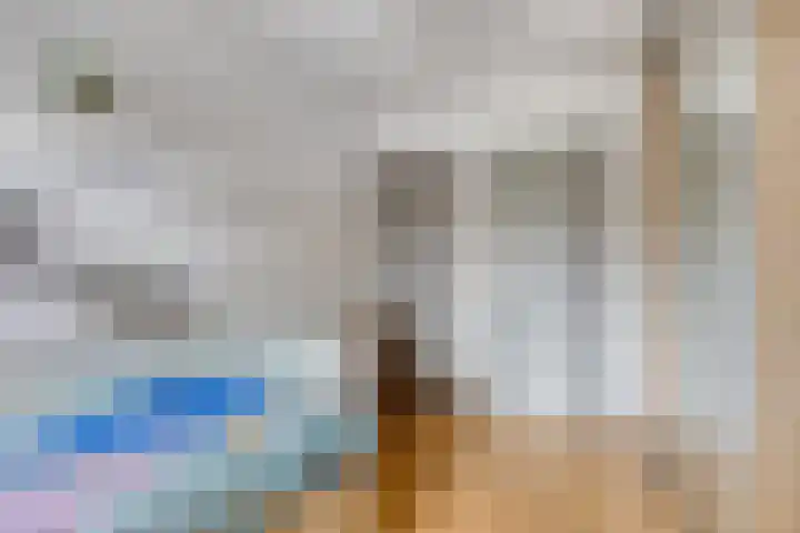 Haneven 49 Goirle thumbnail 33