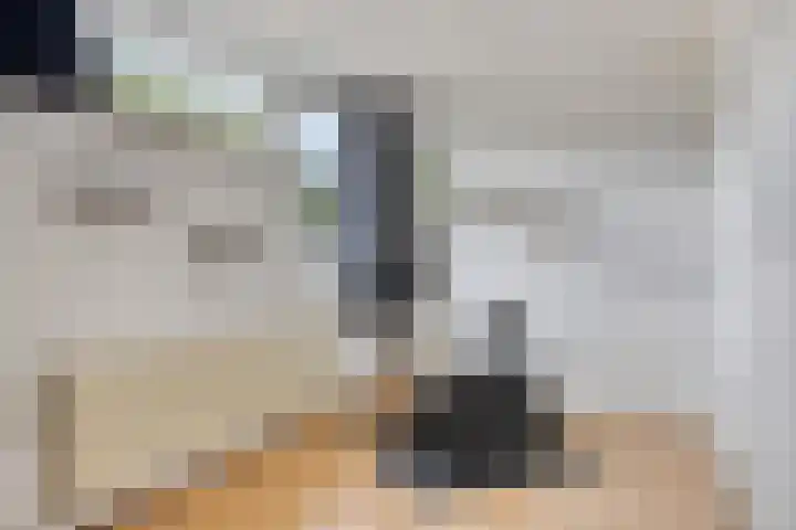 Haneven 49 Goirle thumbnail 34