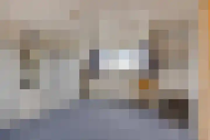 Haneven 49 Goirle thumbnail 39