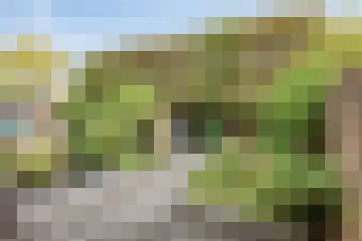 Haneven 49 Goirle thumbnail 40