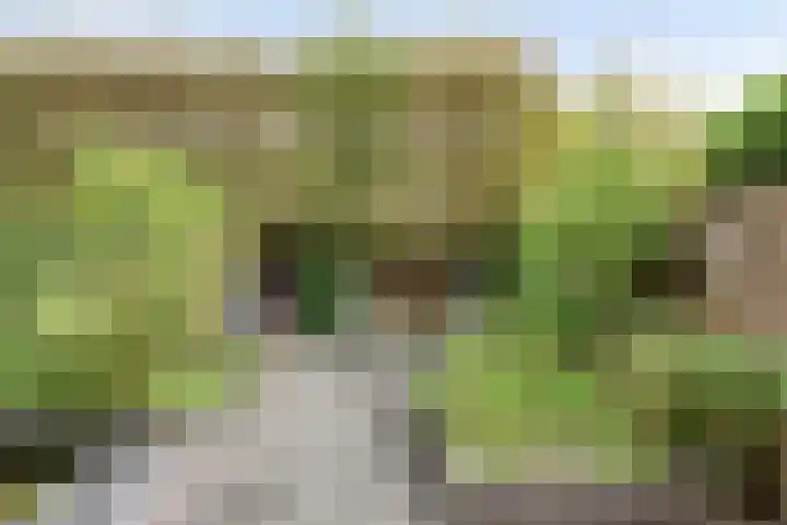 Haneven 49 Goirle thumbnail 41