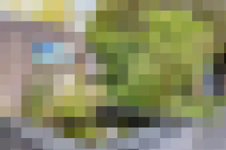 Haneven 49 Goirle thumbnail 42