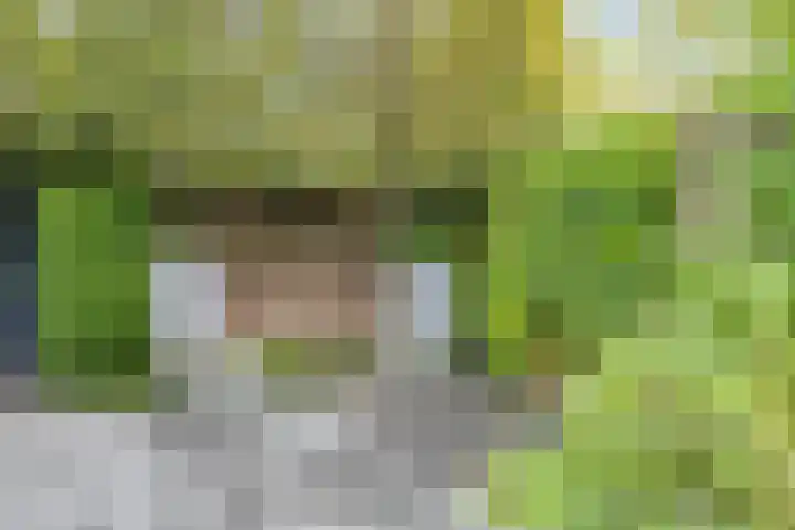 Haneven 49 Goirle thumbnail 43