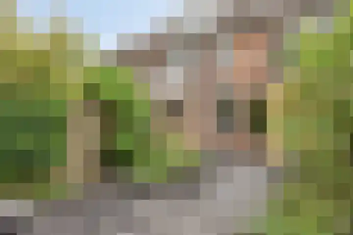 Haneven 49 Goirle thumbnail 44