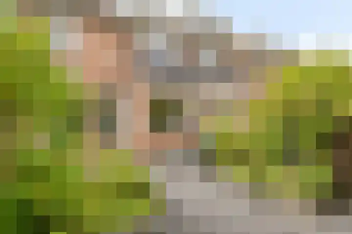 Haneven 49 Goirle thumbnail 46