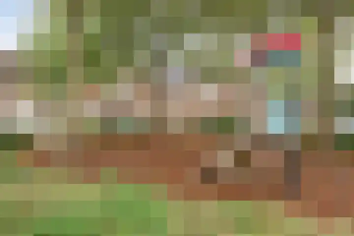 Haneven 49 Goirle thumbnail 47