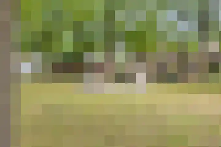 Haneven 49 Goirle thumbnail 48